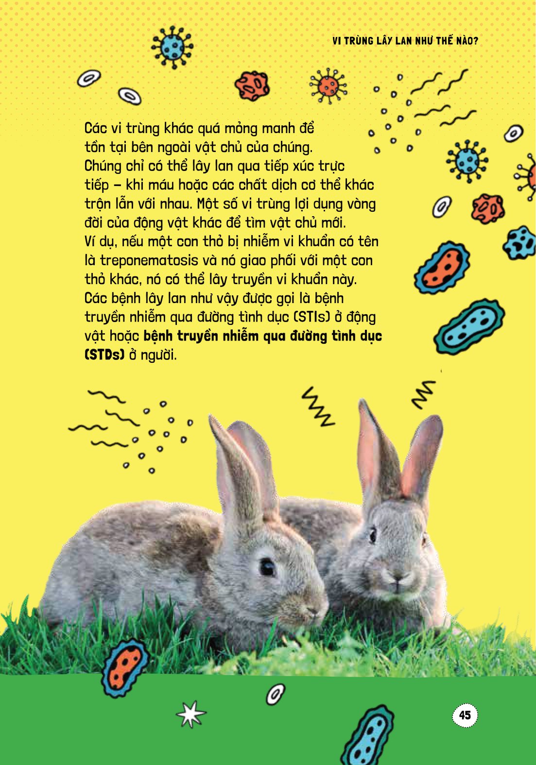 háo hức học hỏi - stem - thế giới vô hình của vi trùng… và tác động của chúng đến cuộc sống chúng ta - Ảnh 11