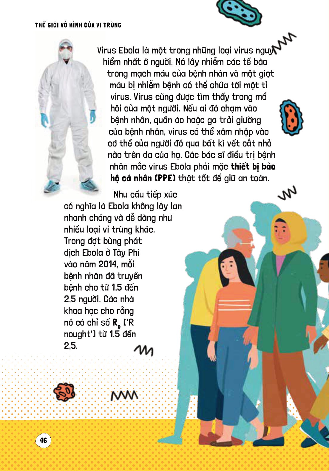 háo hức học hỏi - stem - thế giới vô hình của vi trùng… và tác động của chúng đến cuộc sống chúng ta - Ảnh 12