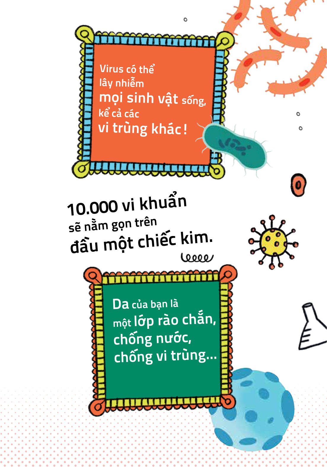 háo hức học hỏi - stem - thế giới vô hình của vi trùng… và tác động của chúng đến cuộc sống chúng ta - Ảnh 14