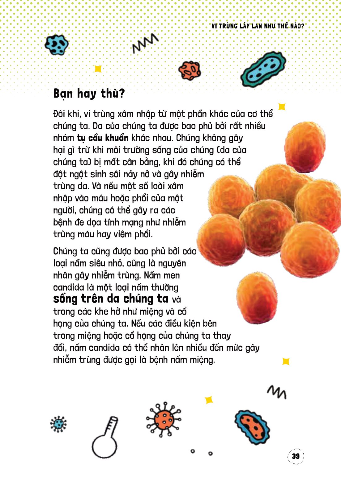 háo hức học hỏi - stem - thế giới vô hình của vi trùng… và tác động của chúng đến cuộc sống chúng ta - Ảnh 5