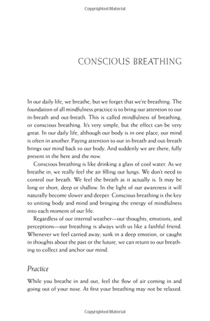 happiness - essential mindfulness practices - Ảnh 11