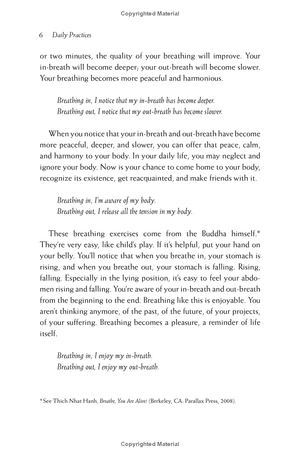 happiness - essential mindfulness practices - Ảnh 12