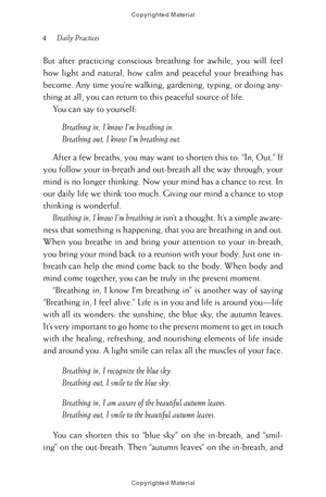 happiness - essential mindfulness practices - Ảnh 13