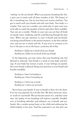 happiness - essential mindfulness practices - Ảnh 15