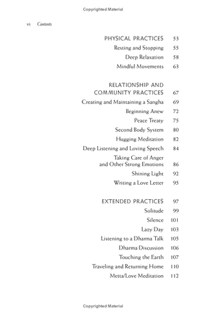 happiness - essential mindfulness practices - Ảnh 7