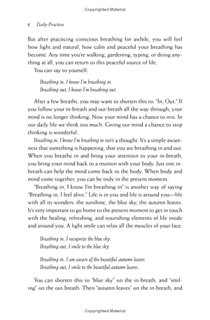 happiness - essential mindfulness practices - Ảnh 8