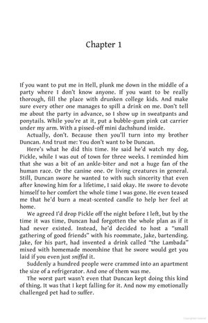 happiness for beginners - Ảnh 3