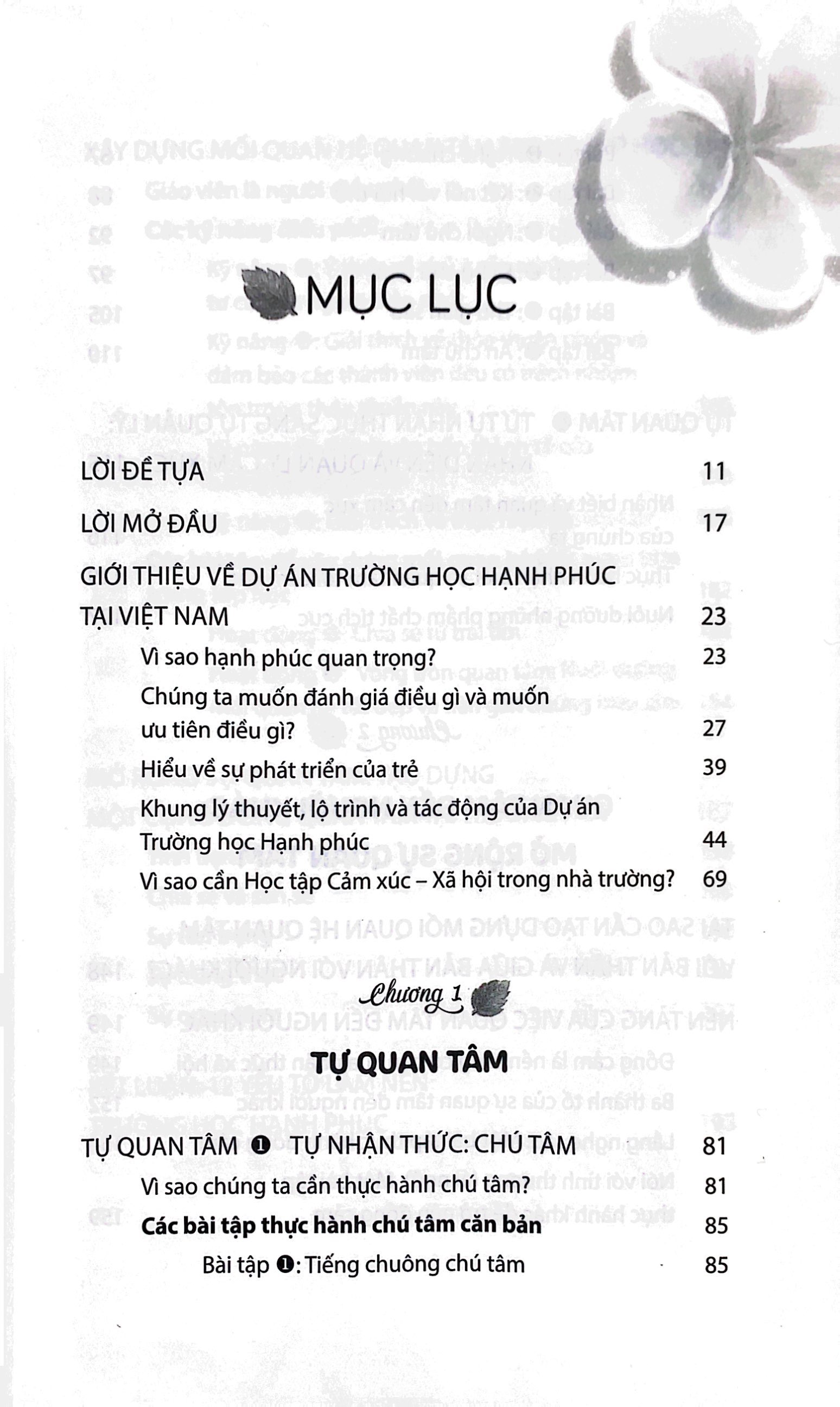 happy schools - mỗi ngày đến trường là một ngày vui - Ảnh 5