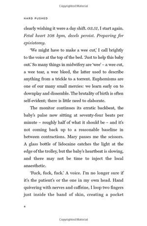 hard pushed: a midwifeℹs story - Ảnh 10