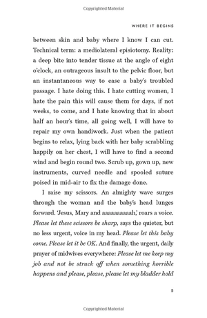 hard pushed: a midwifeℹs story - Ảnh 11