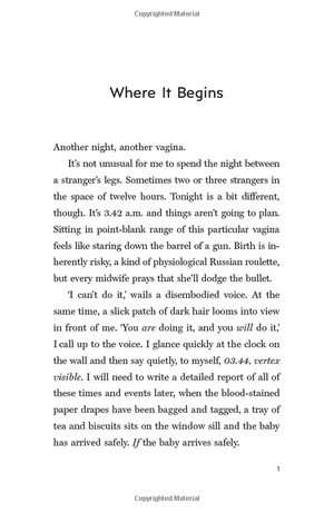 hard pushed: a midwifeℹs story - Ảnh 7