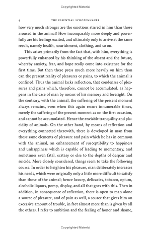 harper perennial modern thought - the essential schopenhauer - key selections from the world as will and representation and other writings - Ảnh 13
