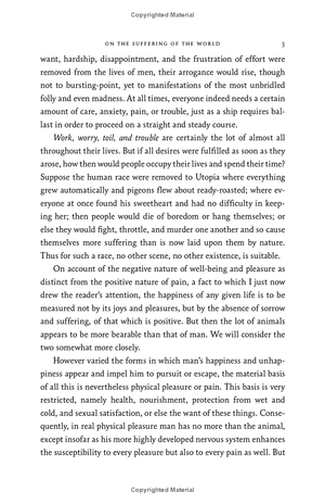 harper perennial modern thought - the essential schopenhauer - key selections from the world as will and representation and other writings - Ảnh 14