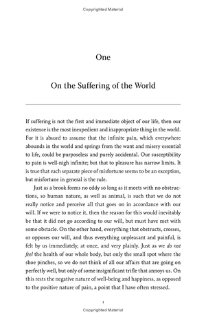harper perennial modern thought - the essential schopenhauer - key selections from the world as will and representation and other writings - Ảnh 7