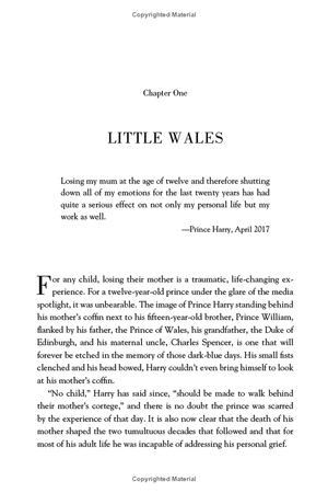 harry and meghan (revised): life, loss, and love - Ảnh 13