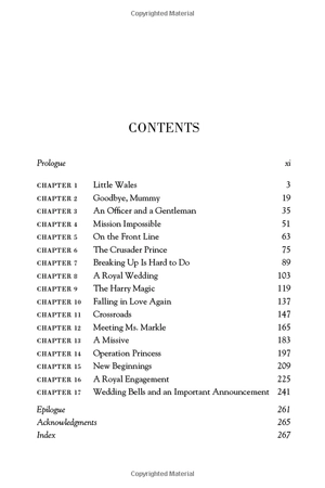 harry and meghan (revised): life, loss, and love - Ảnh 8