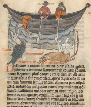 harry potter - a history of magic: the book of the exhibition - Ảnh 10