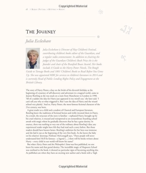 harry potter - a history of magic: the book of the exhibition - Ảnh 12