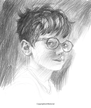 harry potter - a history of magic: the book of the exhibition - Ảnh 17