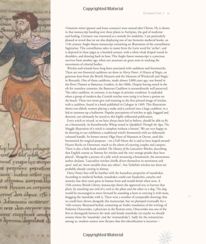 harry potter - a history of magic: the book of the exhibition - Ảnh 7