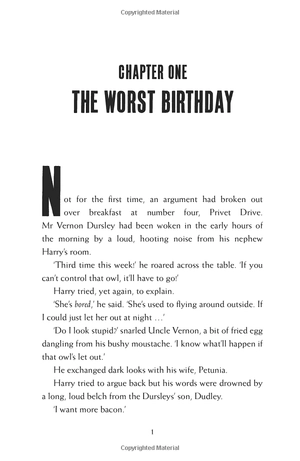 harry potter and the chamber of secrets - Ảnh 4