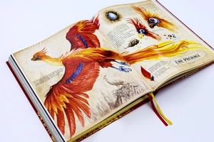 harry potter and the chamber of secrets - deluxe edition - Ảnh 5