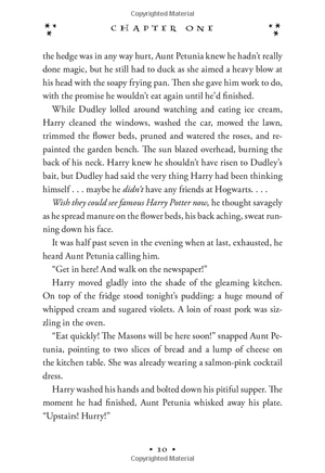 harry potter and the chamber of secrets (hardback) - Ảnh 10