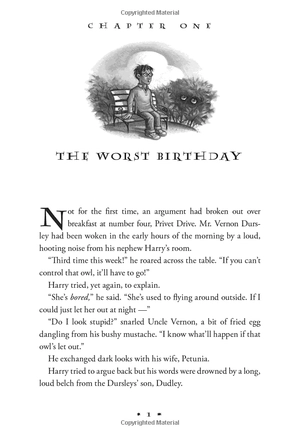 harry potter and the chamber of secrets (hardback) - Ảnh 2