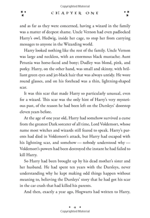 harry potter and the chamber of secrets (hardback) - Ảnh 5