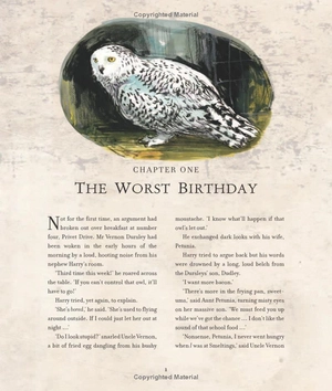 harry potter and the chamber of secrets: illustrated edition - Ảnh 13