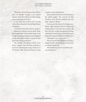 harry potter and the chamber of secrets: illustrated edition - Ảnh 16