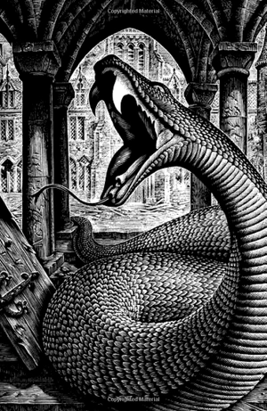 harry potter and the deathly hallows - Ảnh 4