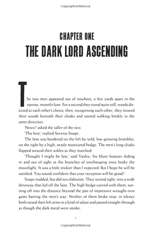 harry potter and the deathly hallows - Ảnh 5