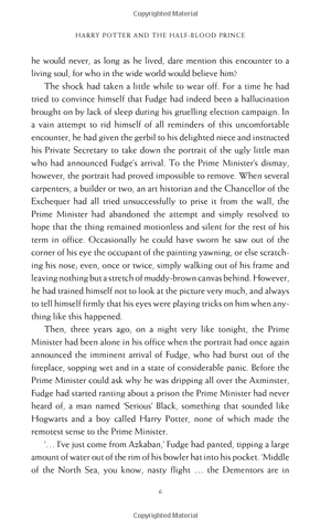 harry potter and the half-blood prince (hardback) - Ảnh 10