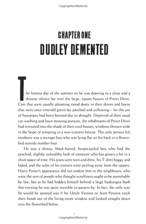 harry potter and the order of the phoenix (hardback) - Ảnh 8