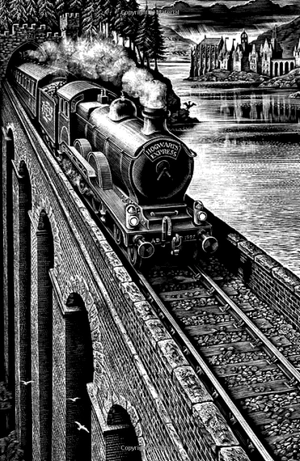 harry potter and the philosopher's stone - Ảnh 3