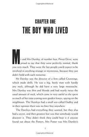 harry potter and the philosopher's stone - Ảnh 4