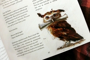 harry potter and the philosopher's stone - deluxe edition - Ảnh 4