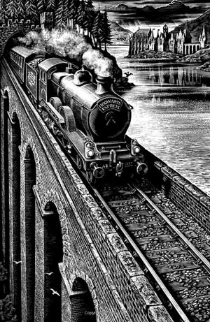 harry potter and the philosopher's stone (hardback) - Ảnh 3