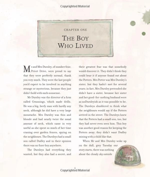 harry potter and the philosopherℹs stone: illustrated edition - Ảnh 10