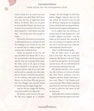 harry potter and the philosopherℹs stone: illustrated edition - Ảnh 13