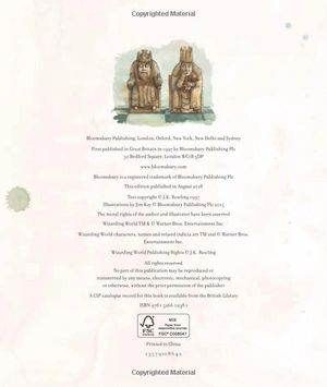 harry potter and the philosopherℹs stone: illustrated edition - Ảnh 7