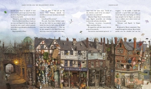 harry potter and the philosopher's stone - illustrated uk edition - Ảnh 6