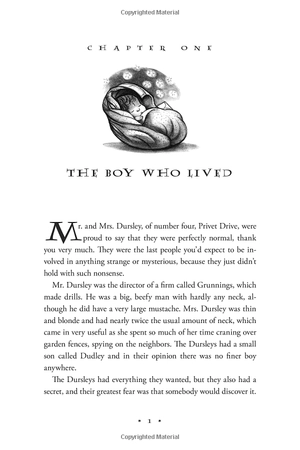 harry potter boxed set: the complete collection - adult pk - Ảnh 7