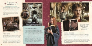 harry potter - friends & foes: a movie scrapbook - Ảnh 9