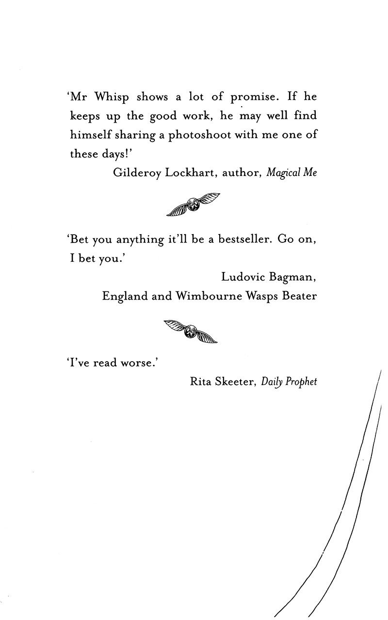 Harry Potter Ngoại Truyện - Quidditch Qua Các Thời Đại - Quidditch Through The Ages (Tái Bản 2025) - Ảnh 5