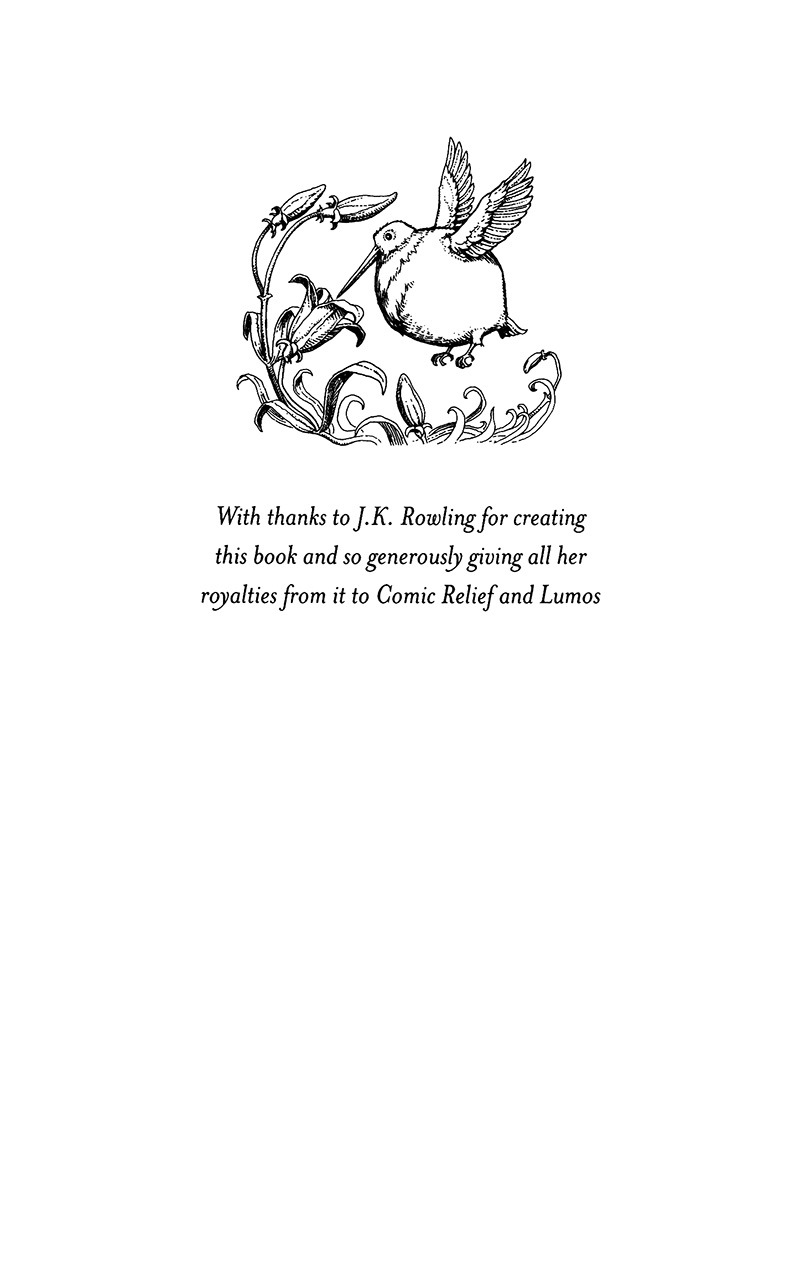 Harry Potter Ngoại Truyện - Quidditch Qua Các Thời Đại - Quidditch Through The Ages (Tái Bản 2025) - Ảnh 7