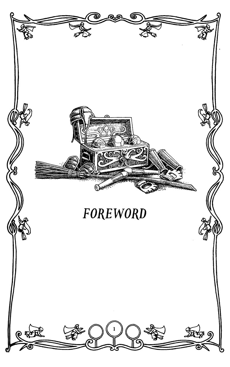 Harry Potter Ngoại Truyện - Quidditch Qua Các Thời Đại - Quidditch Through The Ages (Tái Bản 2025) - Ảnh 9