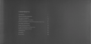 harry potter - the broom collection and other artefacts from the wizarding world - Ảnh 4