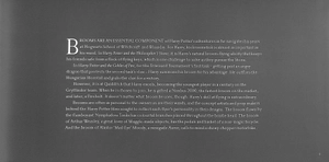 harry potter - the broom collection and other artefacts from the wizarding world - Ảnh 5